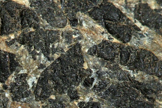 stone-15