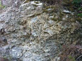 Gypsum at Questenberg