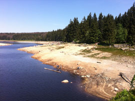 Oderteich