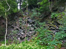 Basaltic fracture in Tharandter Forest