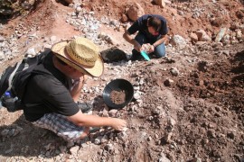 Searching for minerals at Mineralienhalde Grube Clara