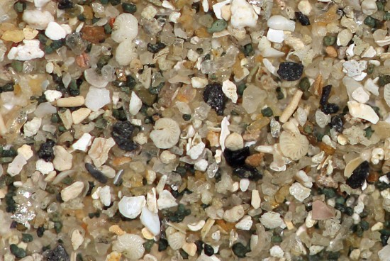2750 GB-IW United Kingdom - Isle of Wight - Beach at Bembridge